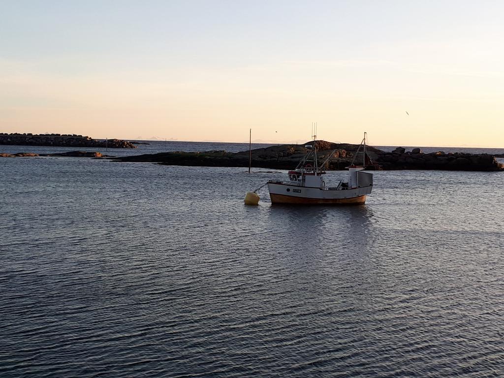 Ferienwohnung Sjohaug Rorbu Moskenes Exterior foto