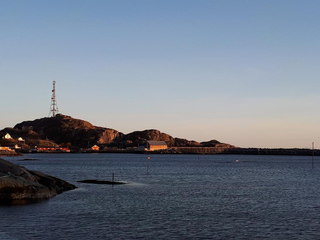 Ferienwohnung Sjohaug Rorbu Moskenes Exterior foto